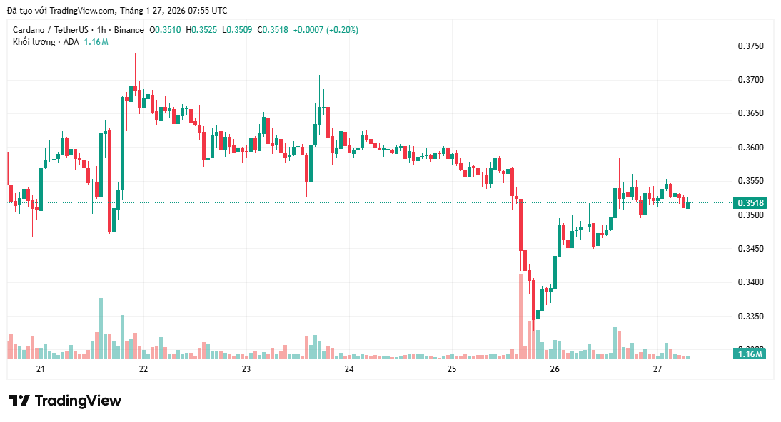 “Cá voi” tích lũy 161 triệu đô la ADA có ý nghĩa gì đối với giá?