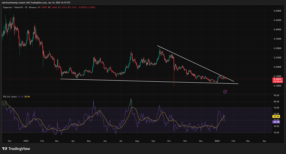 Giá Dogecoin giảm khi cuộc chiến pháp lý giữa Elon Musk và OpenAI tiến đến hồi kết