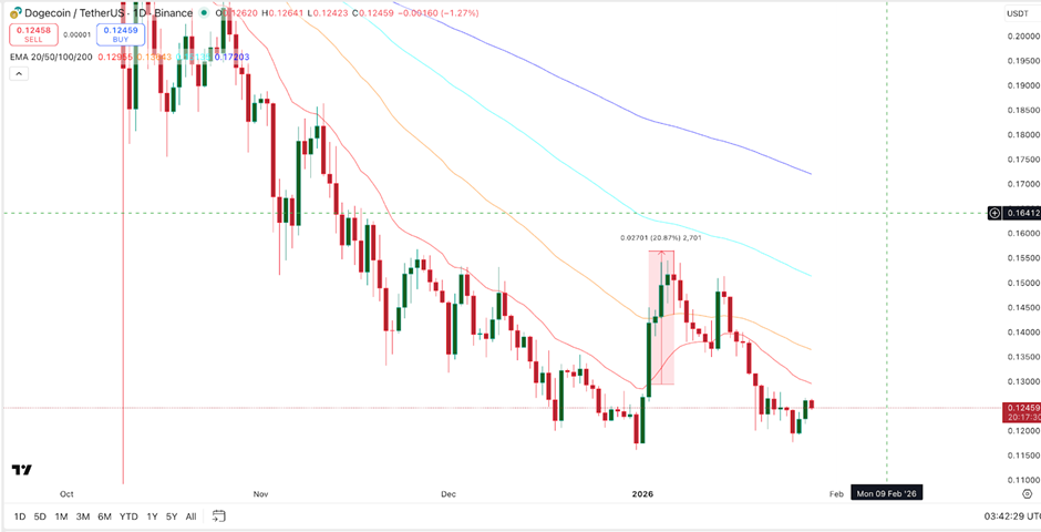 Giá Dogecoin vẫn ổn định trong khi biểu đồ cho thấy khả năng phục hồi 30%