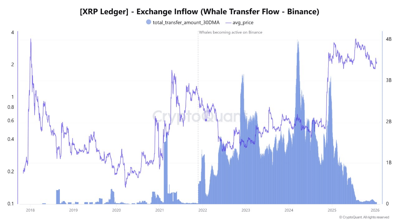 Từ RLUSD đến cá voi – Đây là cách Ripple xây dựng triển vọng dài hạn cho XRP