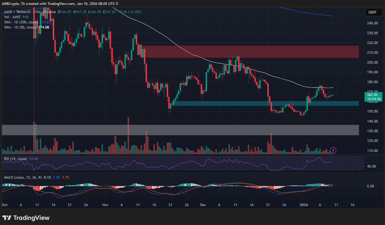Cá voi AAVE gom 8% nguồn cung giữa làn sóng bán tháo, giá có thể tăng lên mốc 210 USD?