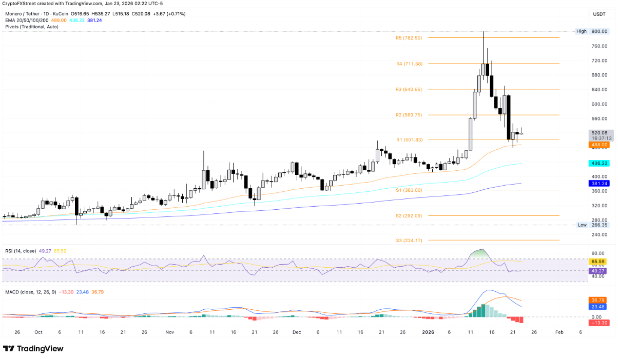 Monero (XMR) hút dòng tiền bán lẻ, phe bò kỳ vọng giá bật tăng