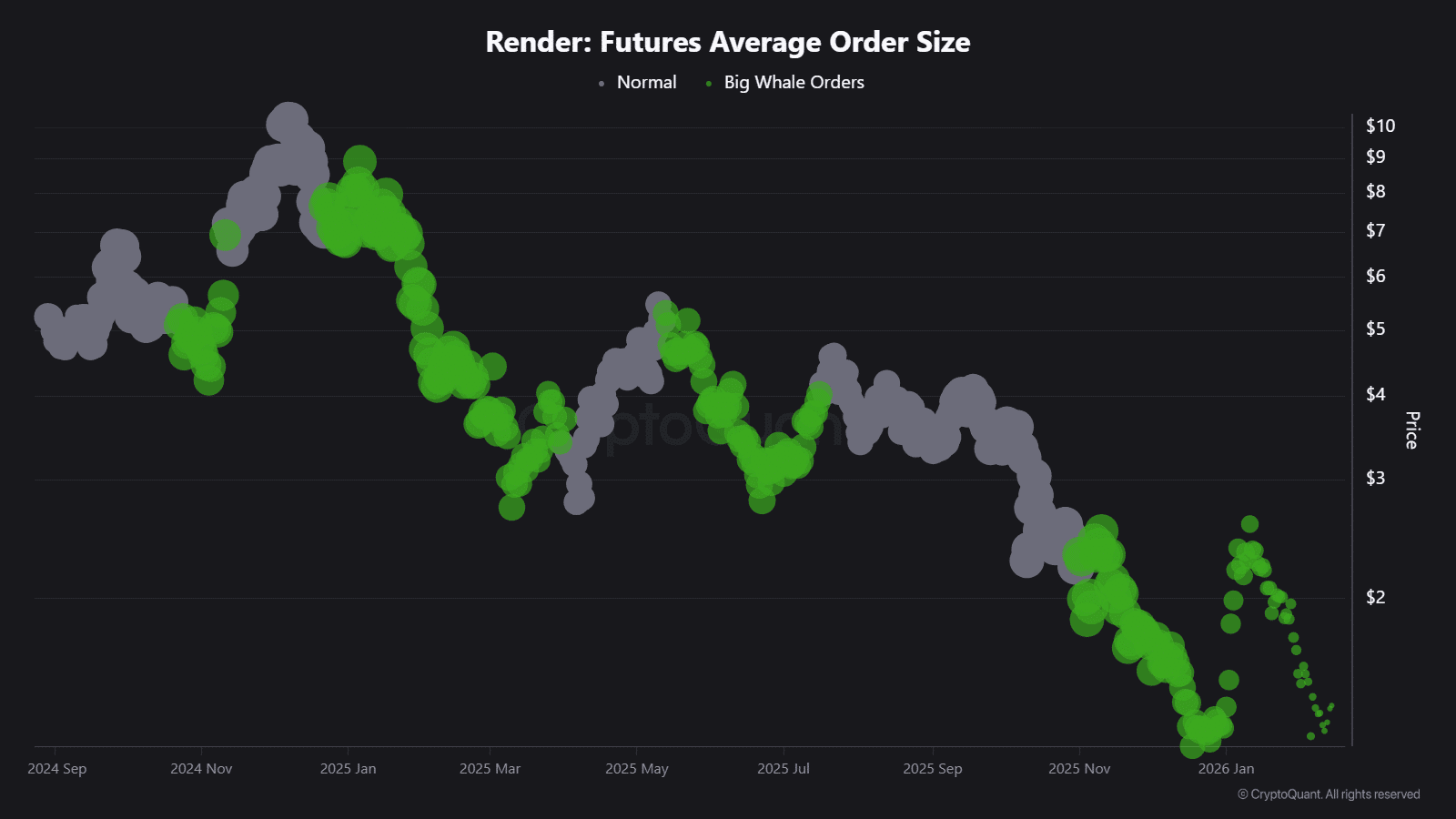 Đây là lý do RENDER tăng vọt 12%