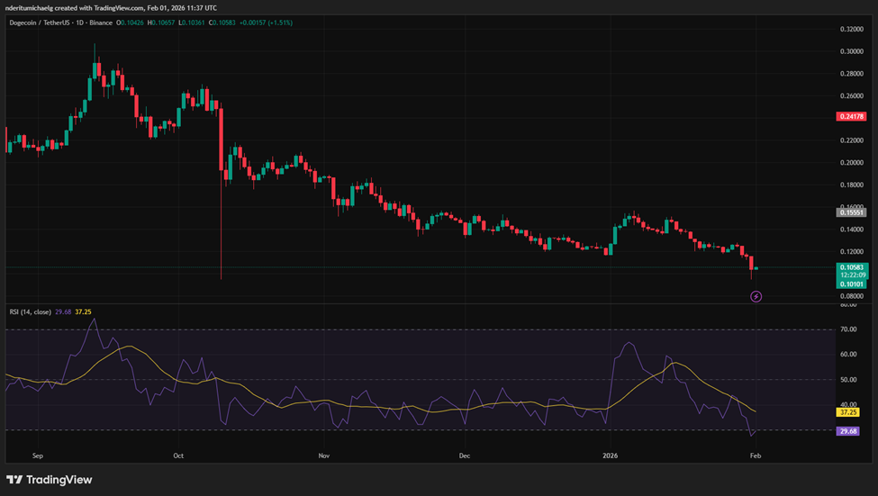 Top 3 memecoin đáng chú ý và hiệu suất gần đây của chúng