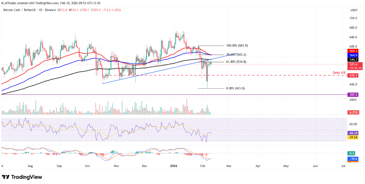 Bitcoin Cash (BCH) suy yếu, đối mặt với “cú nảy mèo chết” trước loạt tín hiệu tiêu cực