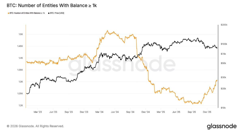 Cá voi Bitcoin âm thầm gom hàng giữa biến động giá