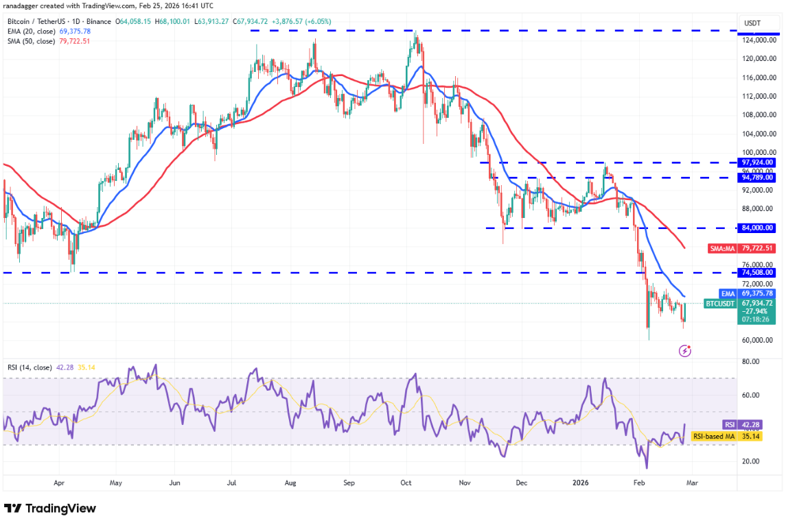 Phân tích kỹ thuật ngày 26 tháng 2: BTC, ETH, XRP, BNB, SOL, DOGE, BCH, ADA, HYPE, XMR