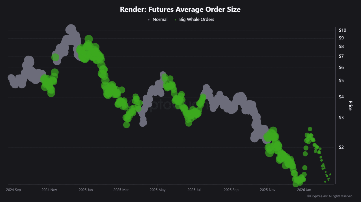 RENDER bứt phá 12%: Hai động lực chính đứng sau đà tăng mạnh