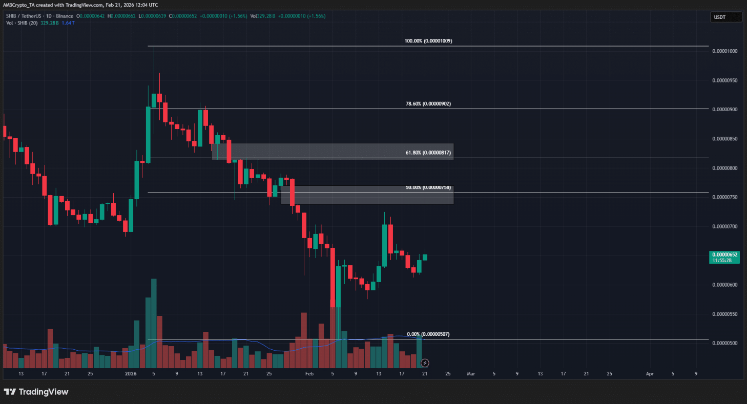 Shiba Inu (SHIB) đứng trước cơ hội phục hồi trong những ngày tới: Động lực đến từ đâu?