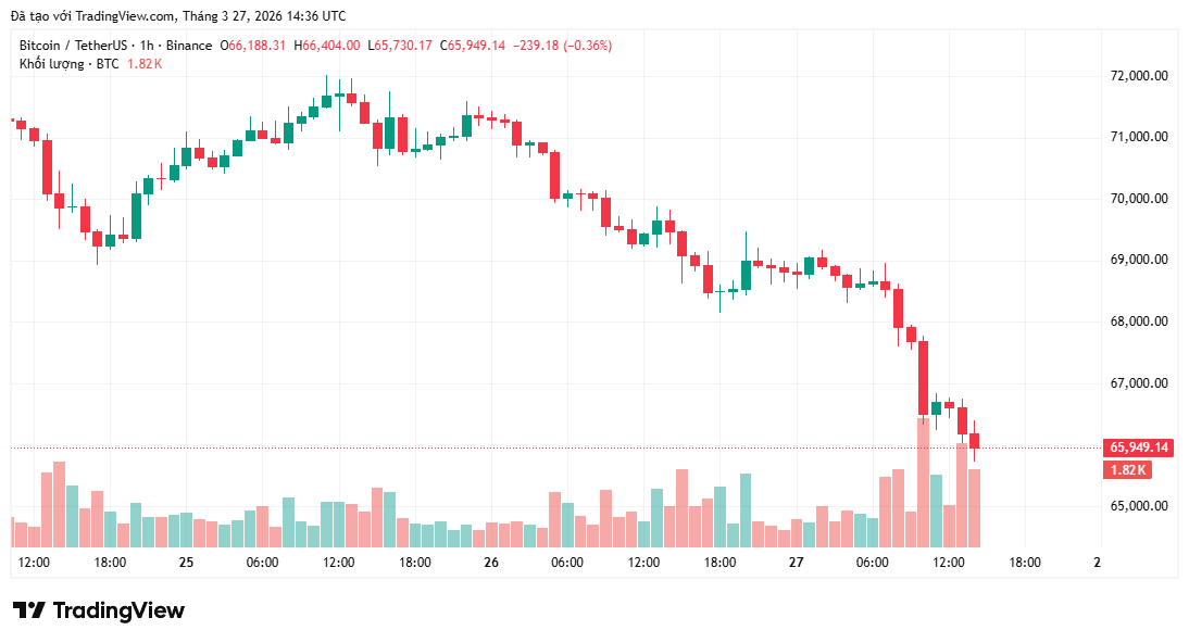 Bitcoin giảm xuống dưới 66.000 USD khi giá dầu làm dấy lên rủi ro lạm phát "không bền vững" tại Mỹ