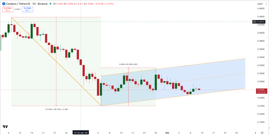 Giá Cardano có nguy cơ giảm 25% bất chấp việc được các siêu thị Thụy Sĩ chấp nhận sử dụng