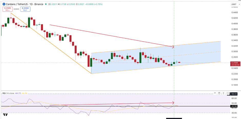 Giá Cardano có nguy cơ giảm 25% bất chấp việc được các siêu thị Thụy Sĩ chấp nhận sử dụng