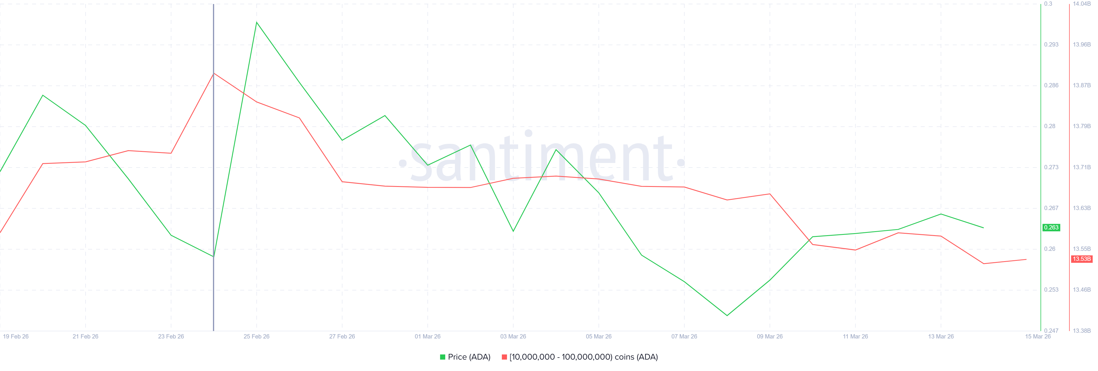 Liệu cá voi có đang mất niềm tin vào giá ADA?