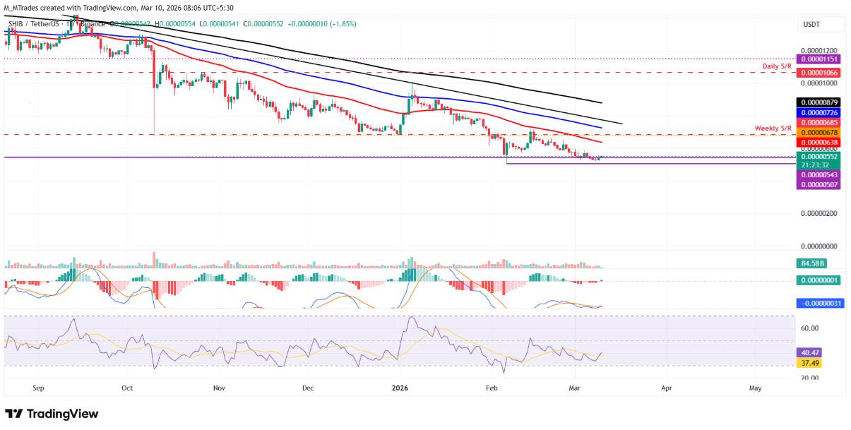 Meme coin khởi sắc: Dogecoin tiến gần điểm bứt phá, Shiba Inu và Pepe ổn định trở lại
