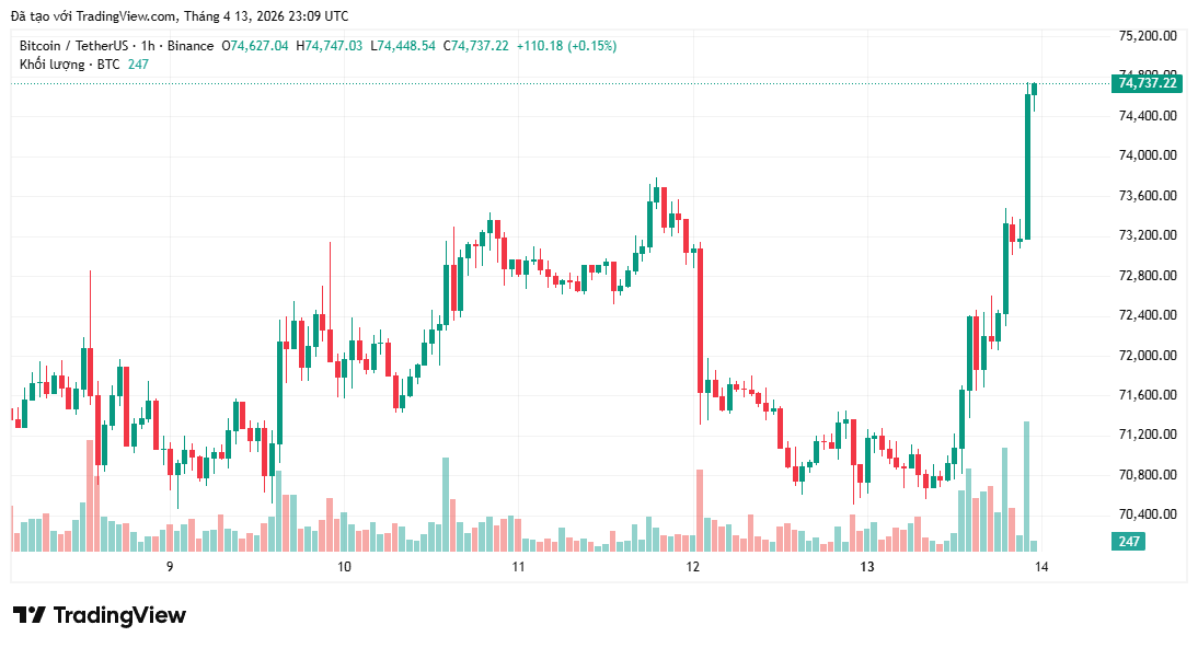Bitcoin bất ngờ trở lại mốc 74.500 USD